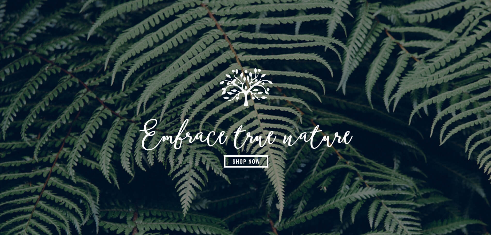 eq